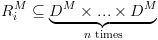 plot:\[R_i^M \subseteq \underbrace {{D^M} \times ... \times
      {D^M}}_{n{\text{ times}}}\]